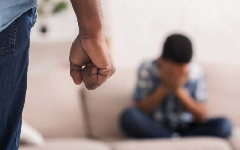 Delito de violencia doméstica